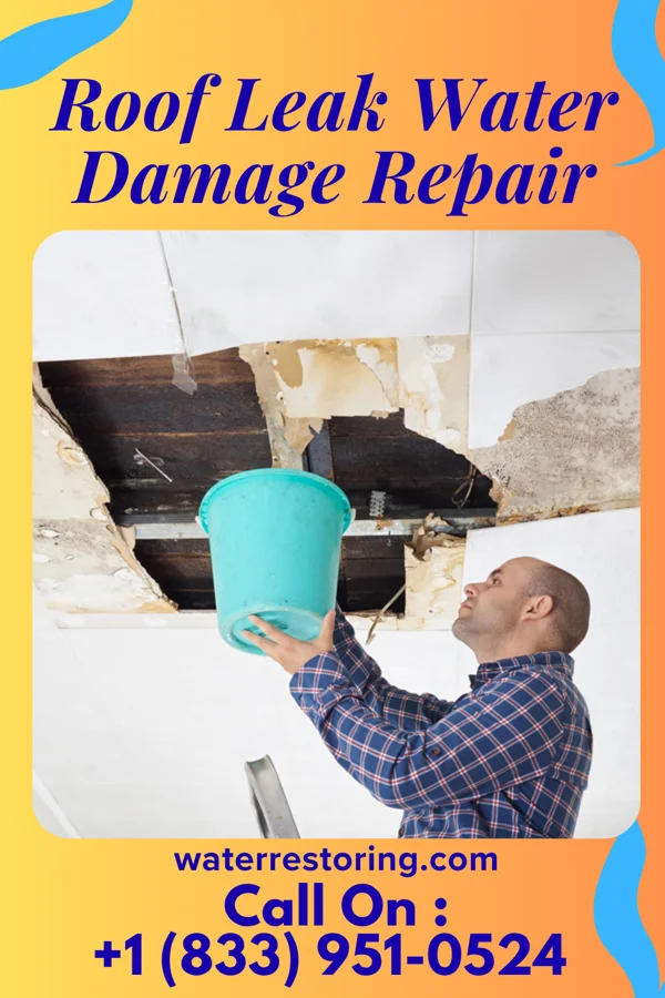 Roof Leak Water Damage Repair in O'Fallon, MO
